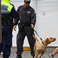 Next article: Do Sniffer Dogs Actually Work?